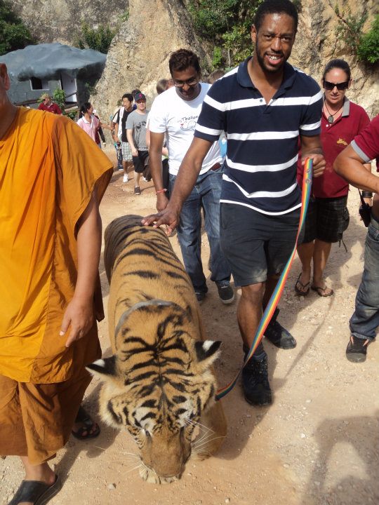 Walking a tiger in Thailand